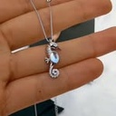 Collar caballito del mar sereno (Plata 925)