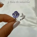 Anillo Flores y Mariposas (Plata 925)