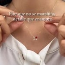 Collar Flor pétalos (Plata 925)