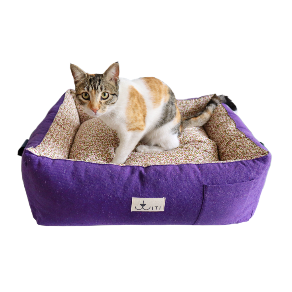 Cama EcoDreams Morado