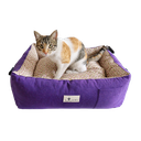 Cama EcoDreams Morado