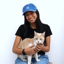 Gorra Cat Mom Celeste Washed