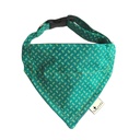 Set Bandana Dibujo Verde