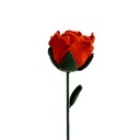 Rosa Mágica tejida 2 en 1 color naranja